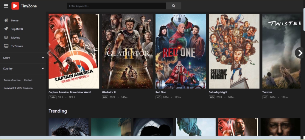 TinyZone: YouTube-style Soap2day alternative with HD content | 19 Best Soap2day Alternatives to Watch Free Movies in 2025